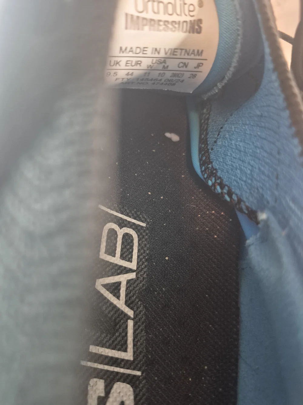 Salomon lab genesis